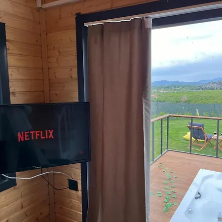 Kaktüs Tiny House Kemp *